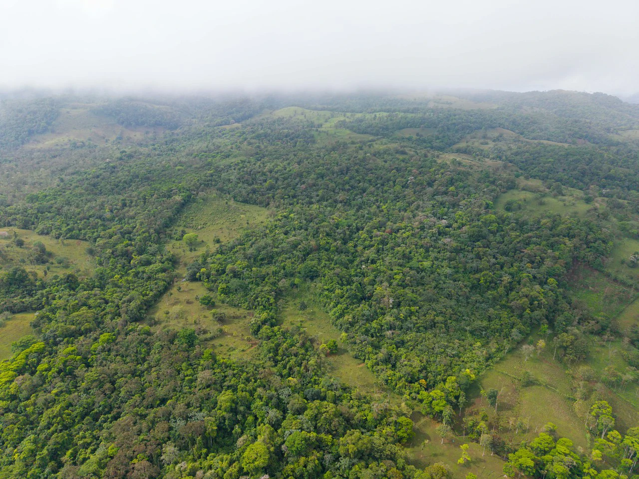 Finca Las Zompopas-Río Celeste: 113-Acre Biodiverse Property in Bijagua, Ideal for Eco-Tourism, Private Retreats, or Sustainable Development - Gallery image 22