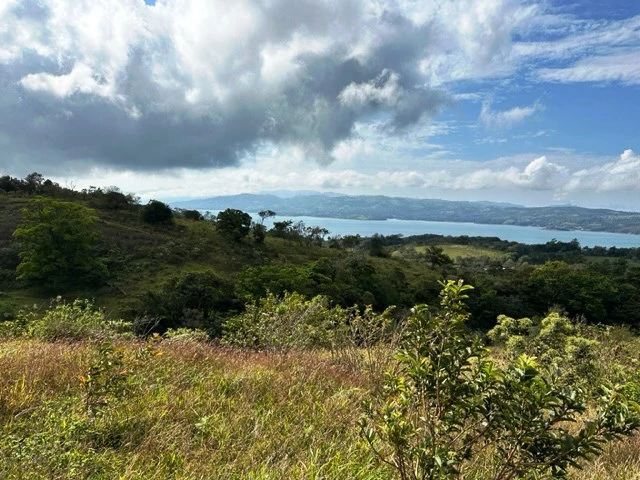 4.5 ha building land with fantastic lake view - Gallery image 2