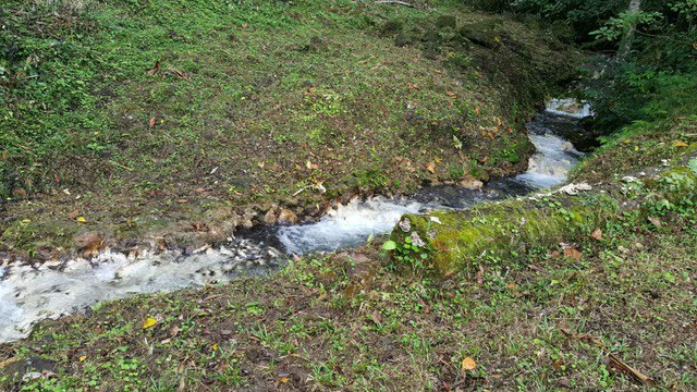 Cold & Hot springs surrounded by an overgrown farm, taken back by nature - Gallery image 91