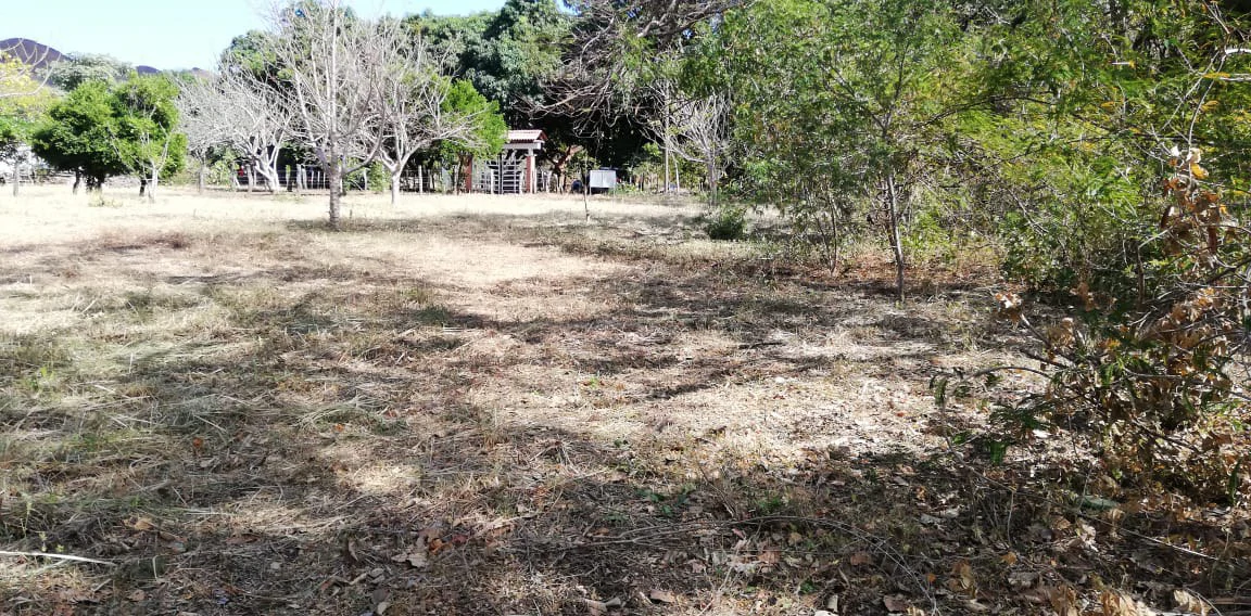 Property in Coco Beach - Gallery image 14