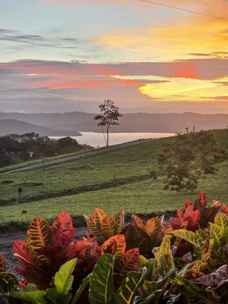 VILLA BUENA VISTA : 2/2 Lake And Volcano Arenal View Home - Gallery image 38