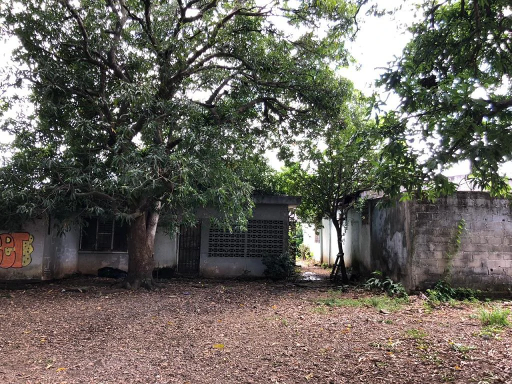 Corner lot in the Center of Nicoya - Gallery image 7