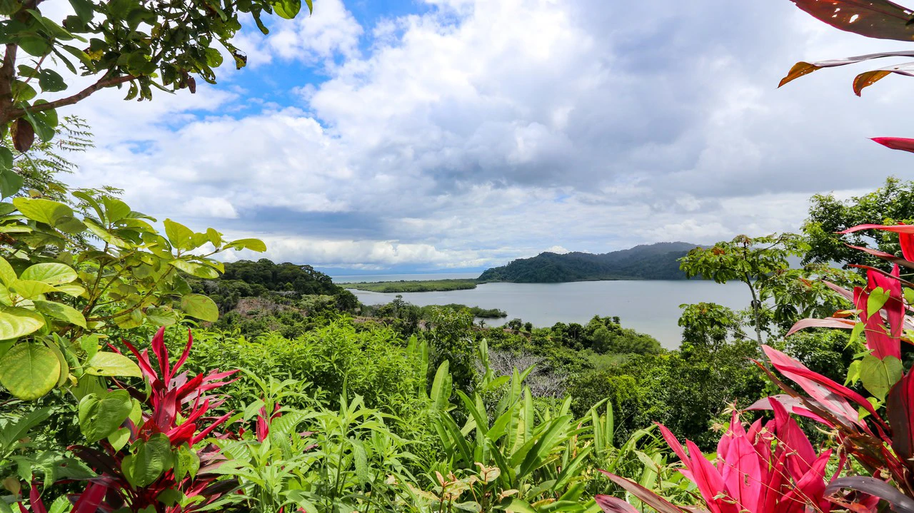 Unique Development Property Overlooking the Pristine Golfito Bay and Golfo Dulce