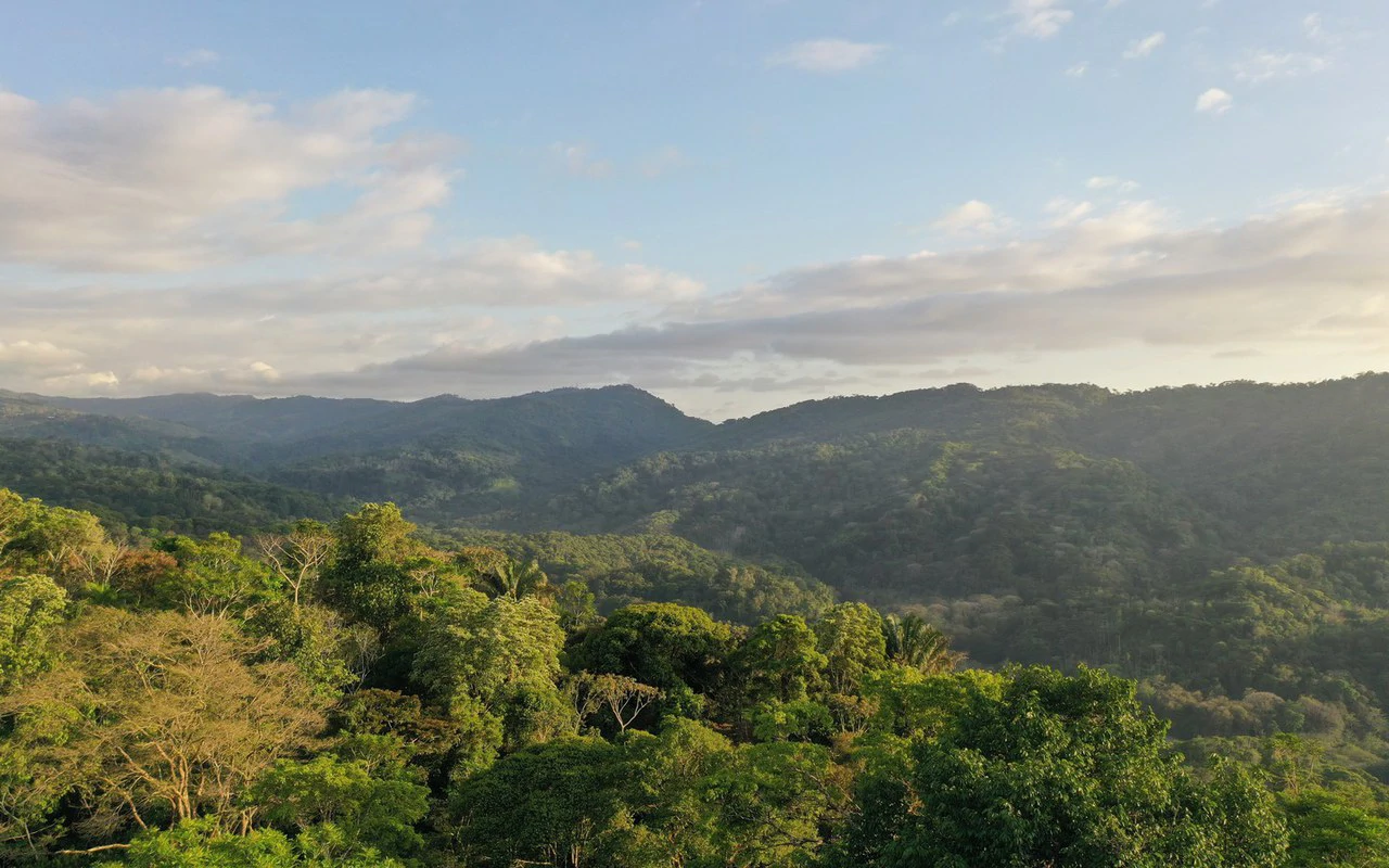 Sunset Ocean View Home on 2.6 Acres Platanillo - Gallery image 36