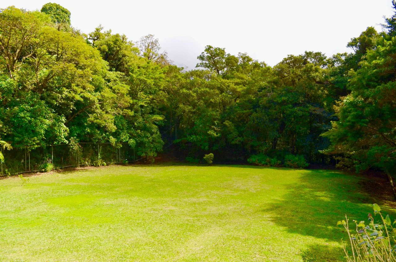 HOUSE IN TIROL HEREDIA: Leave surrounded by nature and peace - Gallery image 4