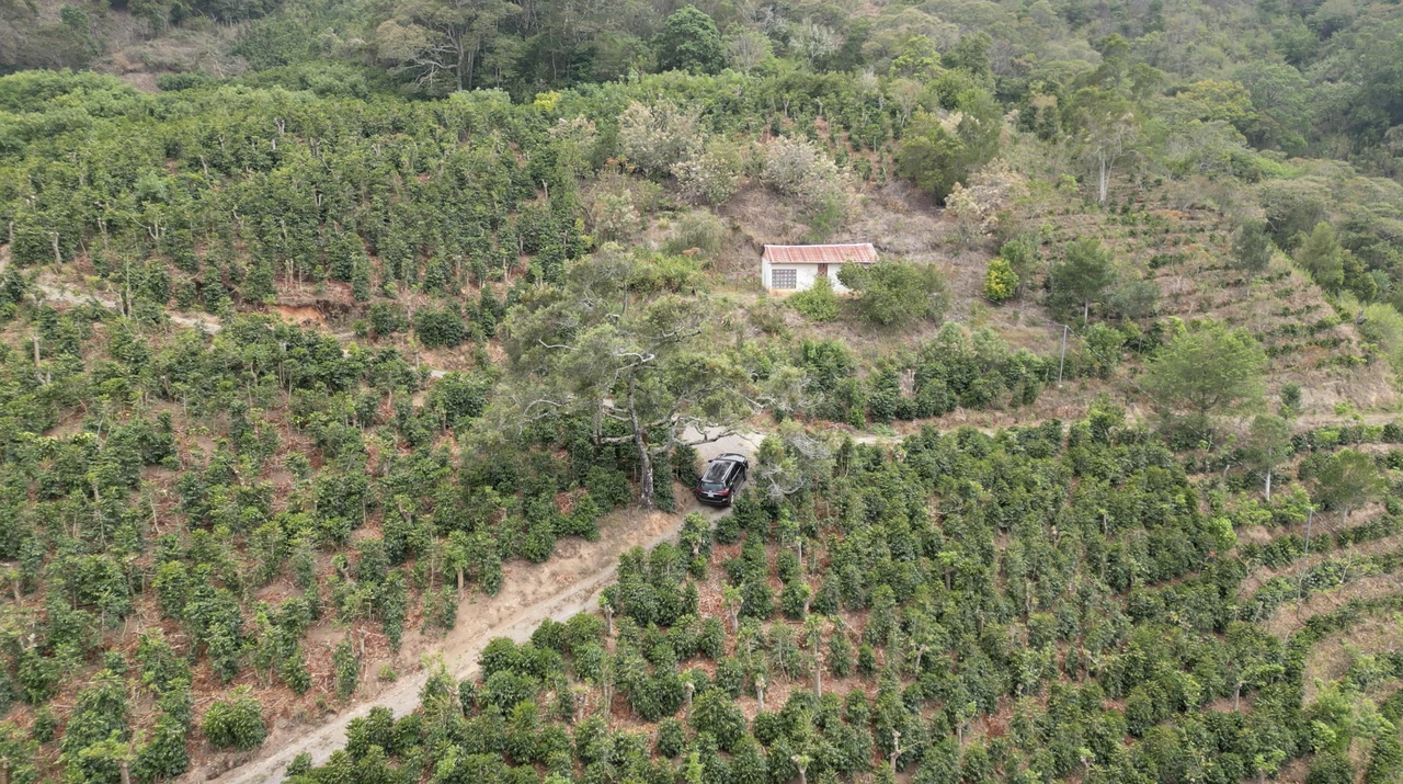 Copey Dota: Coffe farm for Sale in Copey de Dota - Gallery image 5