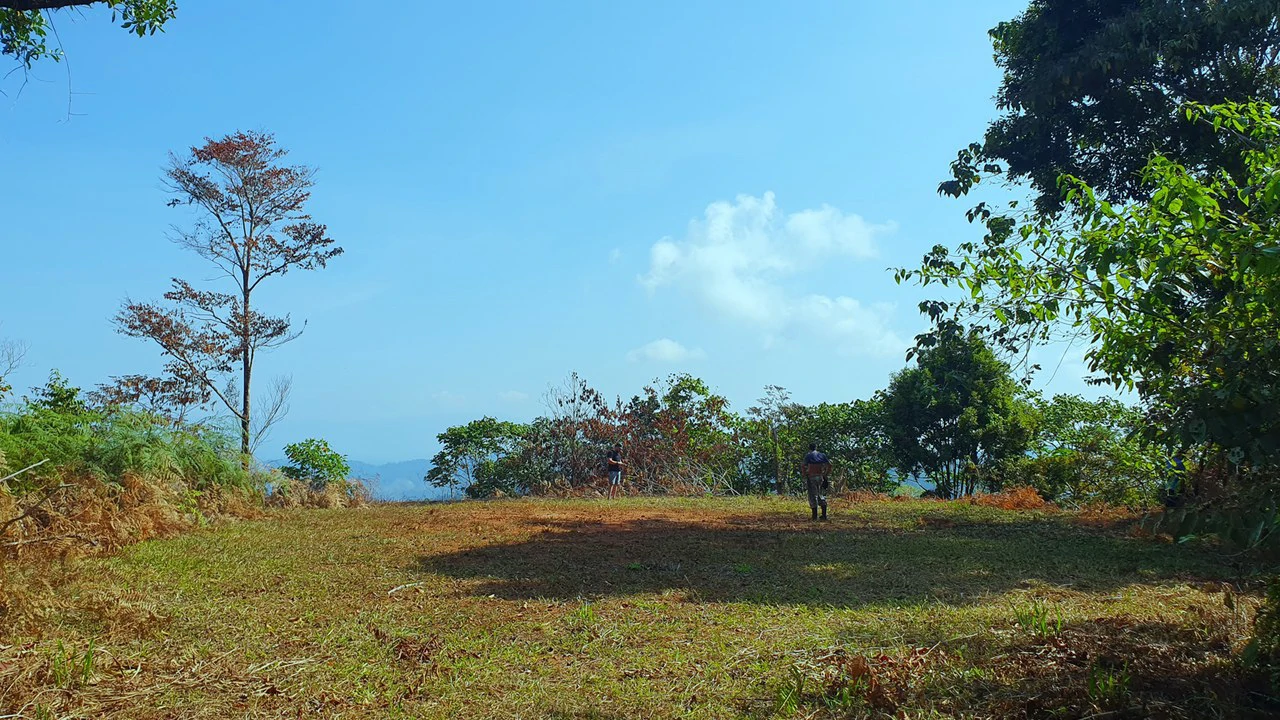 CONSERVATION AND DEVELOPMENT LAND WITH OCEAN VIEW IN SIERPE, COSTA RICA - Gallery image 26