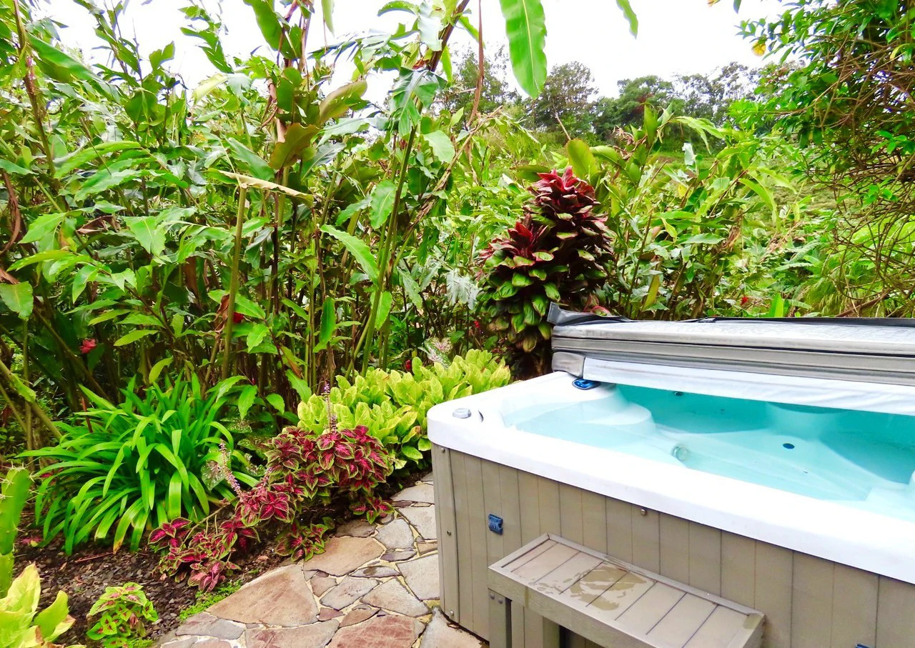 CASA  TROPICANA - Lake View Oasis Near Nuevo Arenal - Gallery image 29