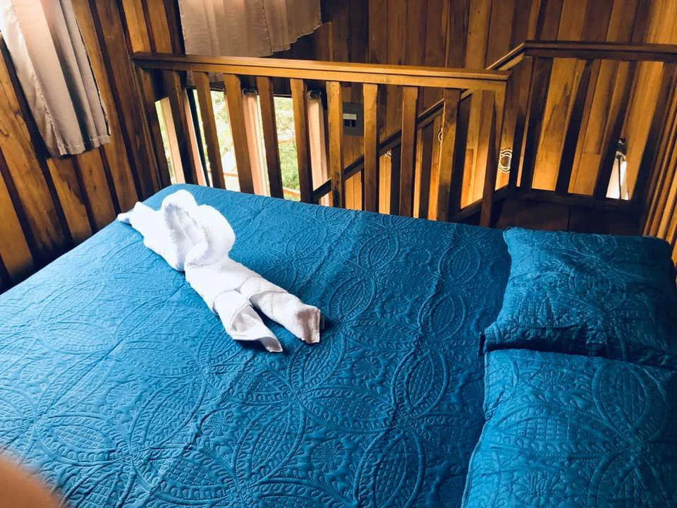 2 Acres with 4 houses Centrally located in Monteverde BV0224: Turn-Key Accommodations Business on 2 Acres Just 5 Minutes from Santa Elena – Surrounded by Nature, Ready to Grow - Gallery image 45