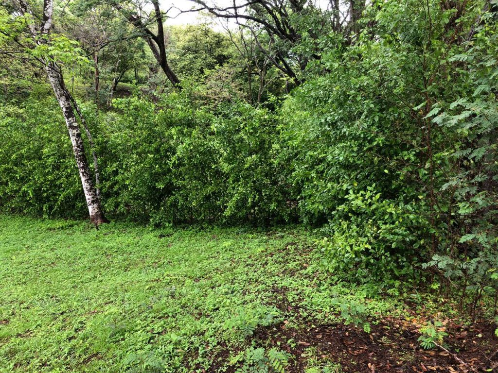 Lot in exclusive Residential, close to Beach Tamarindo - Gallery image 29