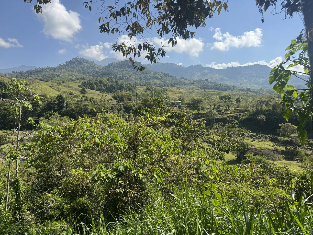 8 Acre Riverfront Sanctuary in San Pedrito Pérez Zeledón - Gallery image 15