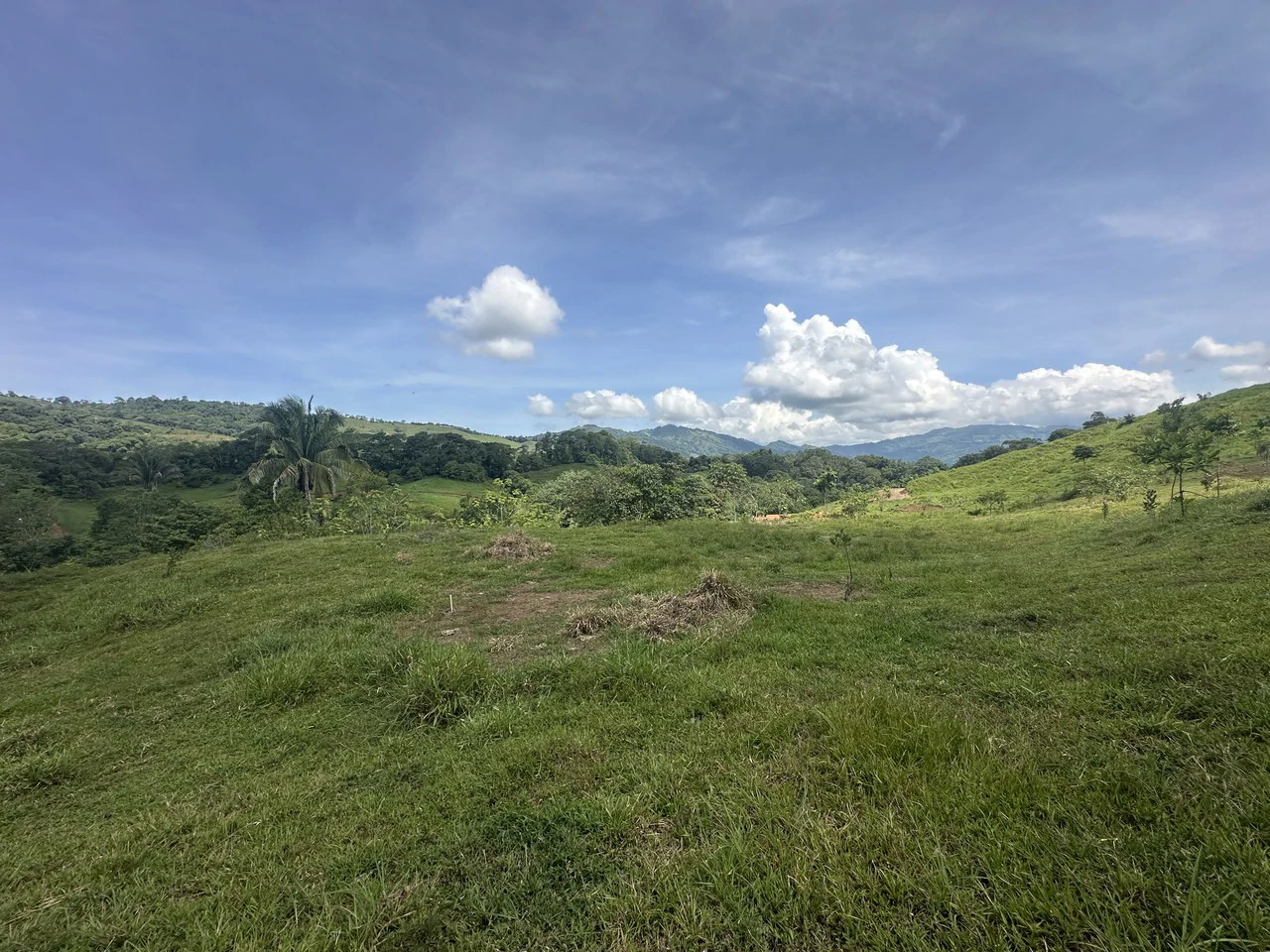 8.78 Acres Mountain View Estate with Water, Infrastructure & Endless Development Potential | Platanillo de Barú, Costa Rica - photo 21