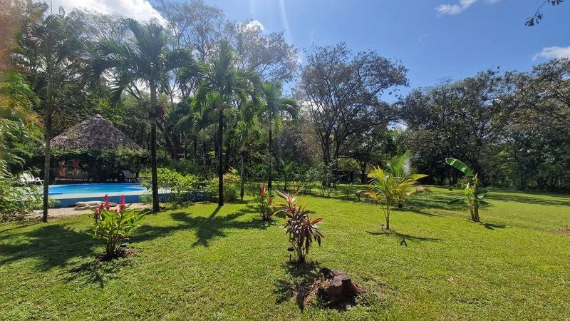 Casas Jungle: Charming Rental Compound with 5 units & pool in the heart of nature, minutes from Samara’s beaches - Gallery image 2