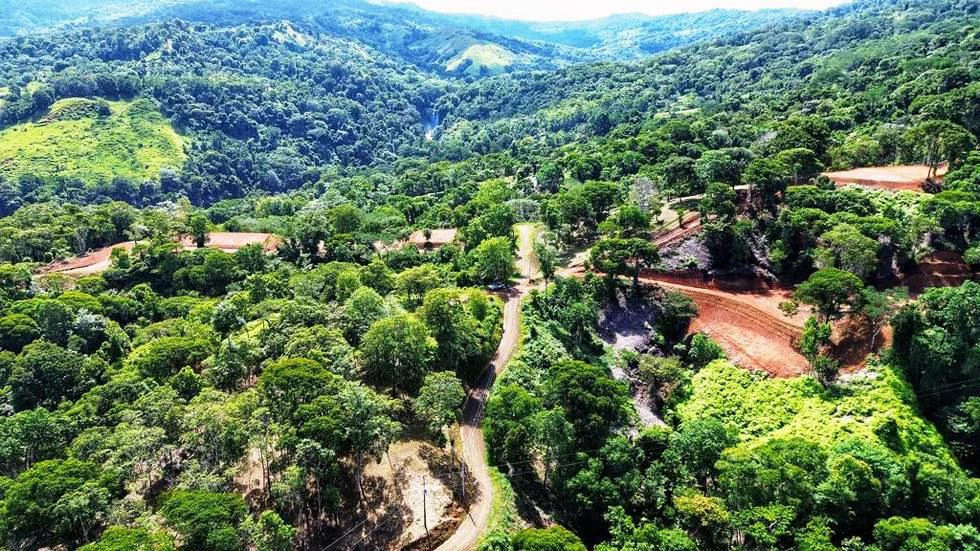 2.5 Acre Jungle and Valley View Home site in Dominical - Gallery image 2