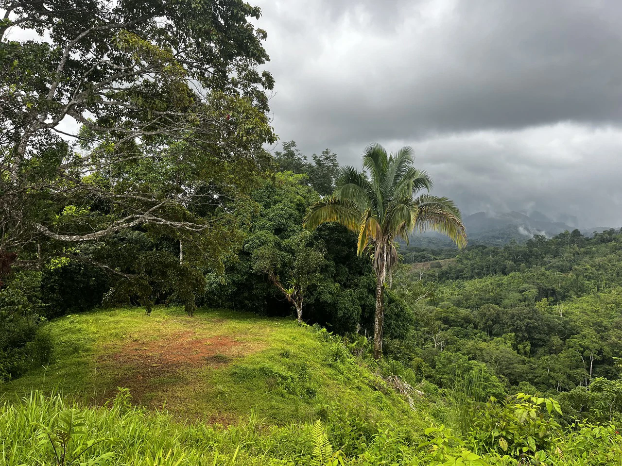 SPECTACULAR ECOLOGICAL MOUNTAIN FARM IN BIJAGUAL DE TURRUBARES - Gallery image 29
