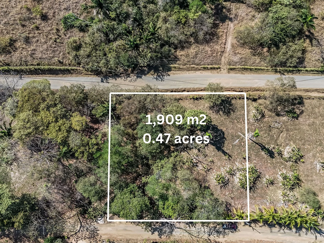 Lote Camaronal Natural: Half Acre Lot Just Mins to the Surf - Gallery image 15