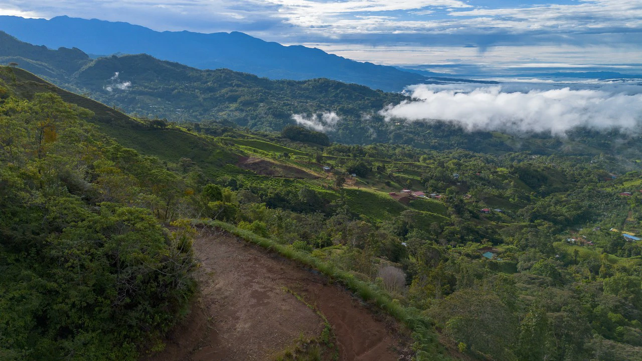 10.21 Acres with Views & Plantels – Pérez Zeledón - Gallery image 32