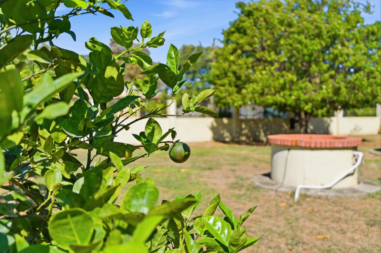 The Jewel of Sardinal: Income, Lifestyle, and Opportunity in One Exceptional Property - Gallery image 38