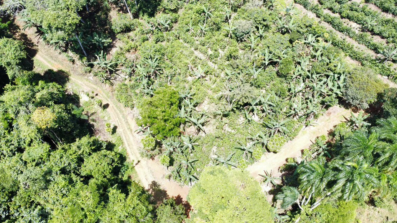 Propiedad en San Rafael de Platanares, Costa Rica: Mountain Home Construction Site For Sale in San Rafael