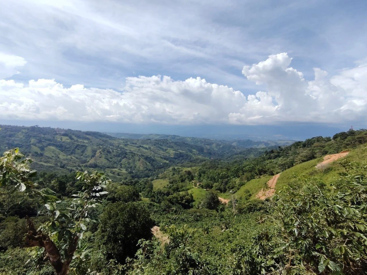 Terreno en San Juan Bosco 1782m2: Mountain and Countryside Home Construction Site For Sale in Daniel Flores