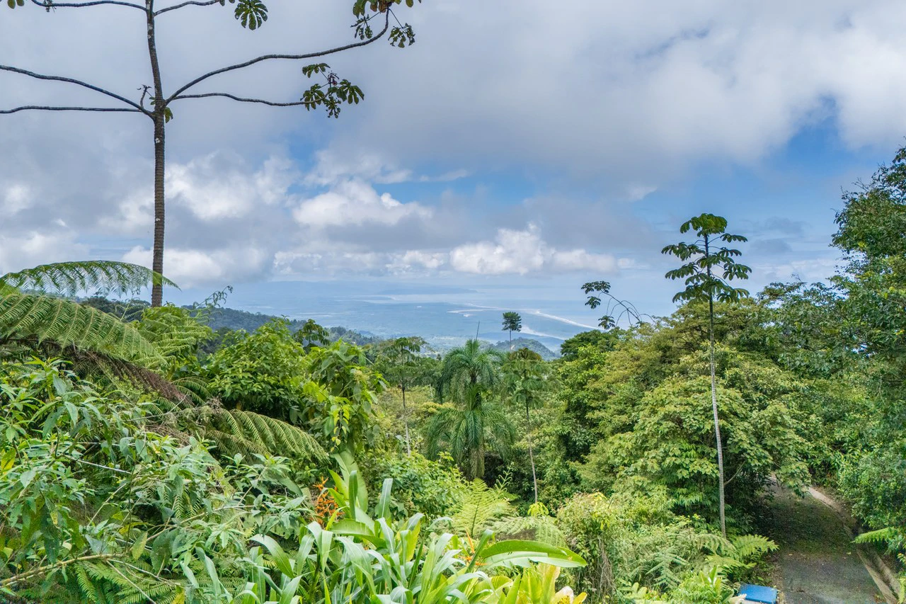 Near the Coast Home Construction Site For Sale in Ciudad Cortés - Gallery image 3