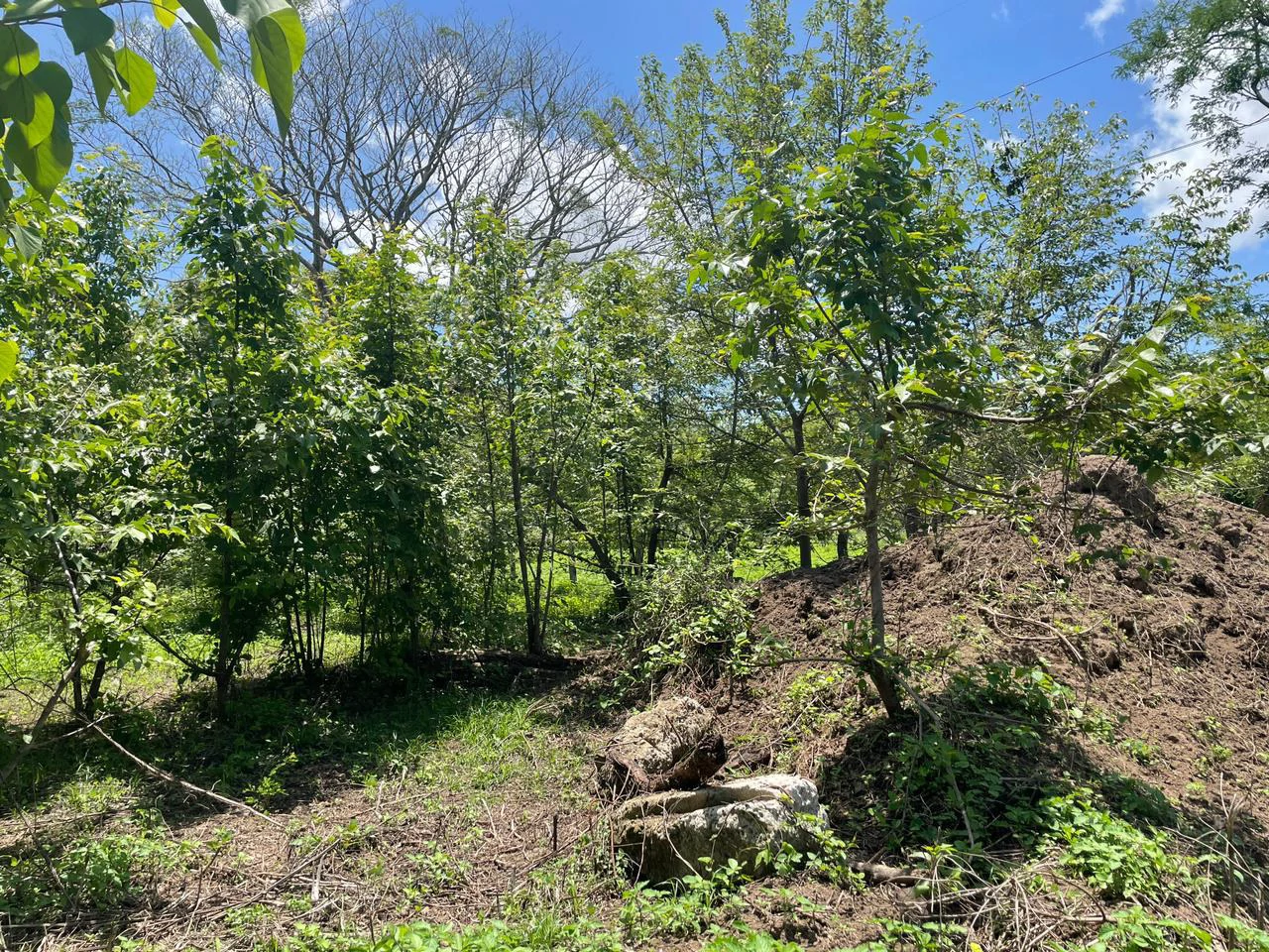 Building lots for sale, 6 available properties 10 minutes away from Liberia - Gallery image 10