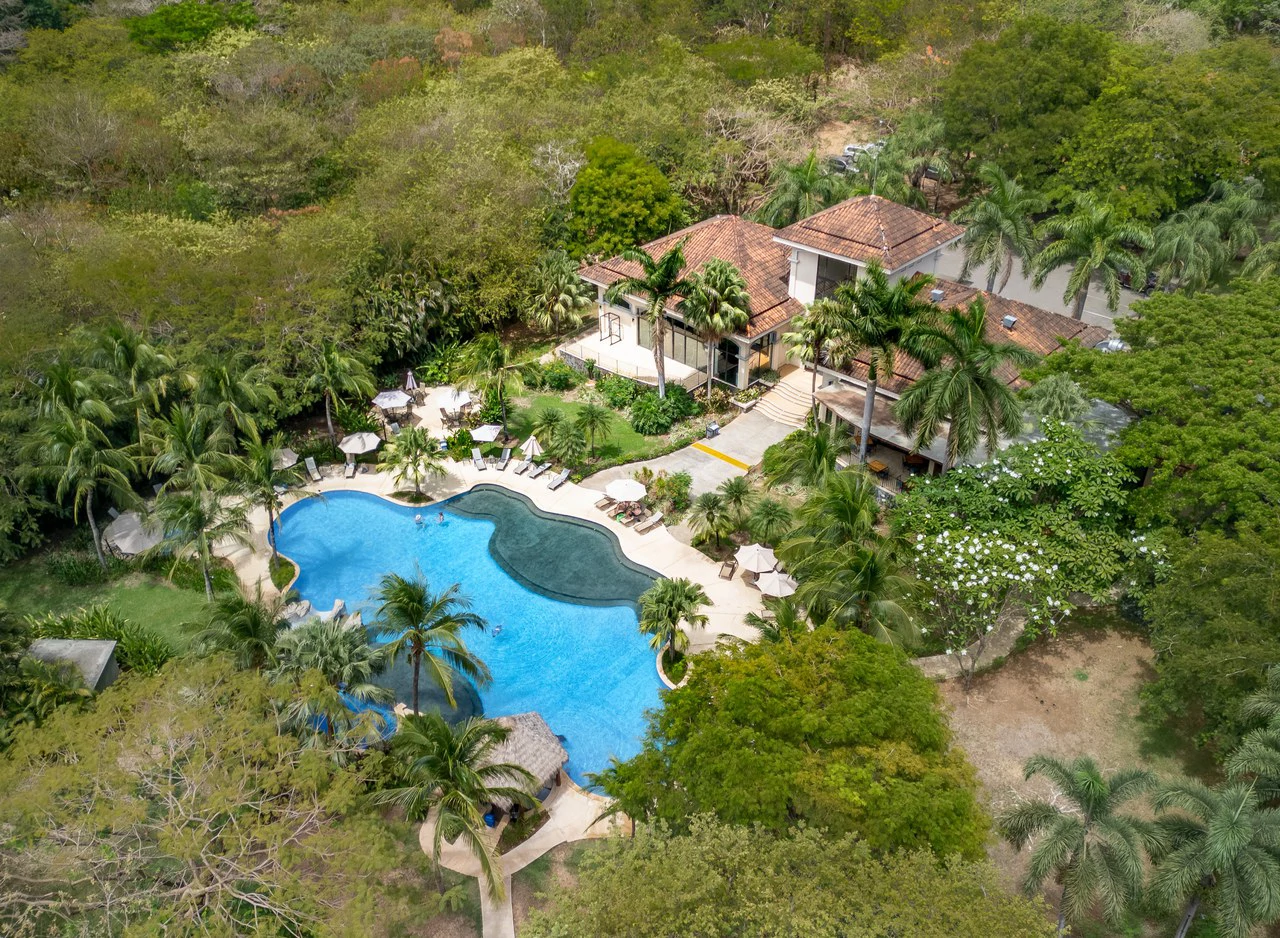 Coco Bay Estate #23: Ocean View Modern Residence - Gallery image 7
