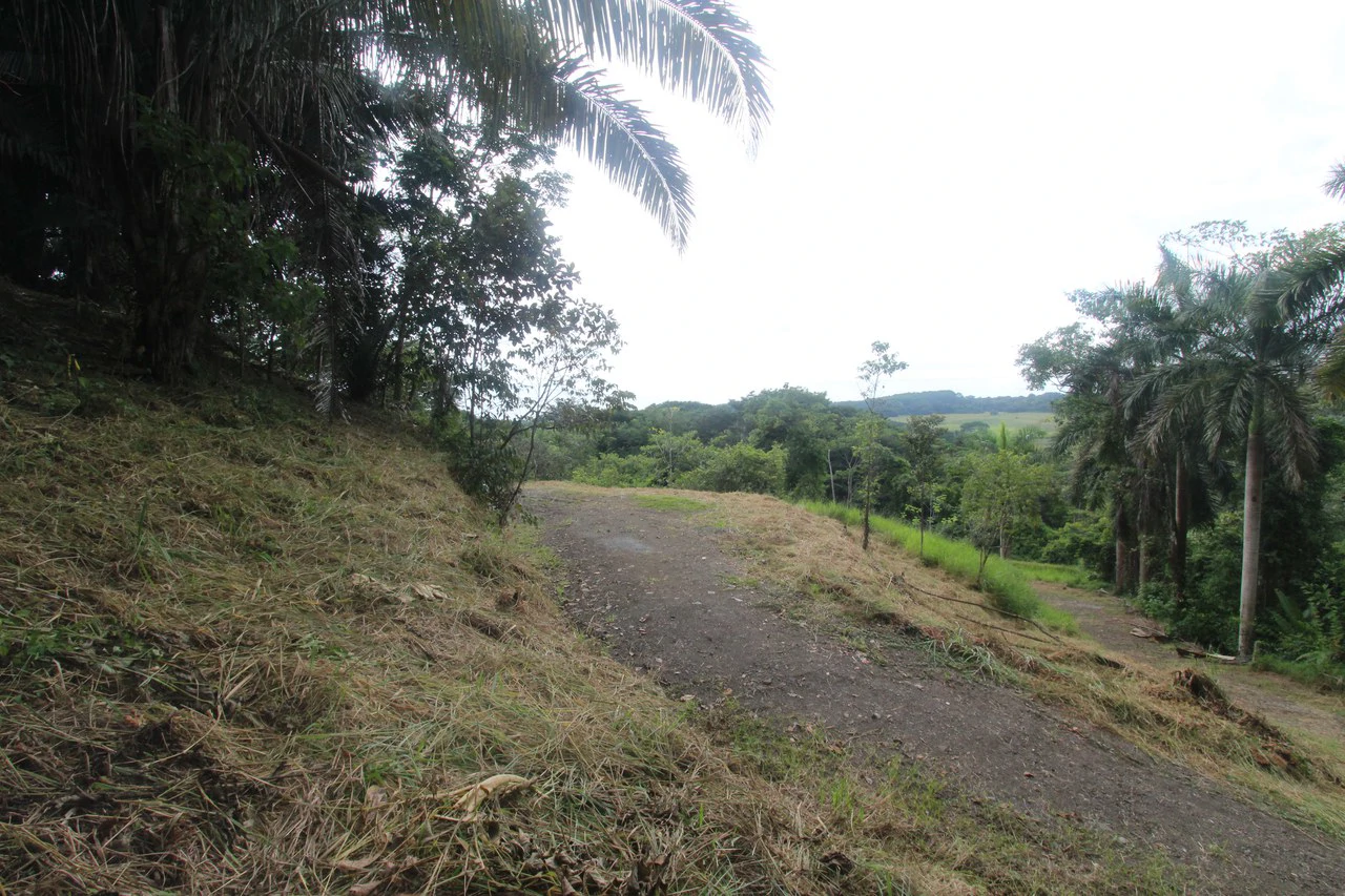 Whitewater Sunset Ocean View Lot Close to Dominical Beach - Gallery image 14