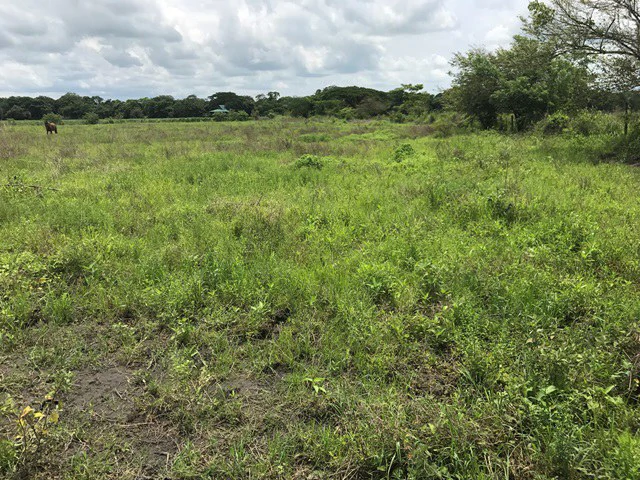 Property close to Liberia and Discovery Park - Gallery image 2