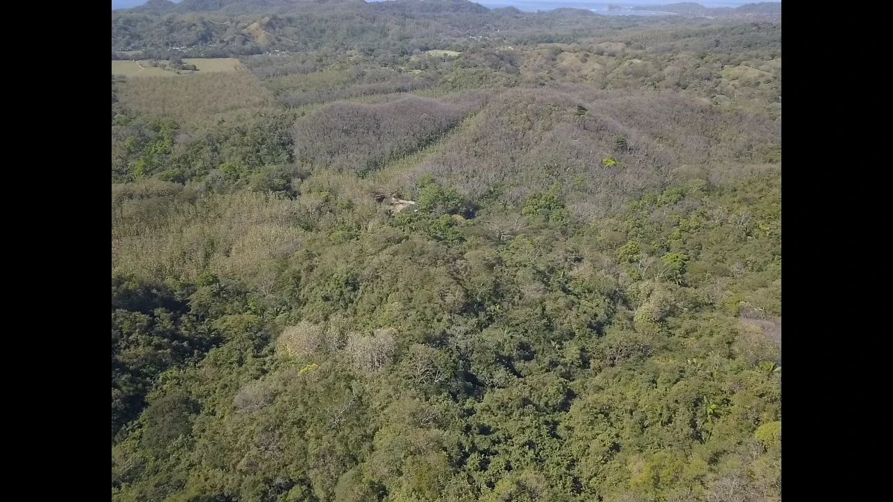 Finca Nora - Your Exclusive Tropical Paradise near Barrigona and Samara beach: Mountain Home Construction Site For Sale in Playa Samara - Gallery image 11