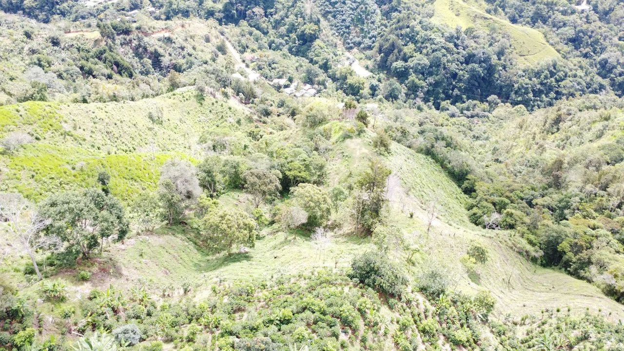 LOTE EN HERRADURA RIVAS.: Mountain Agricultural Land For Sale in San Isidro del General - Gallery image 7