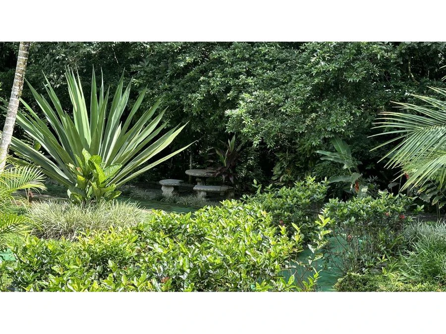 LUXURY HOTEL IN SAN RAMÒN SUR - Gallery image 20