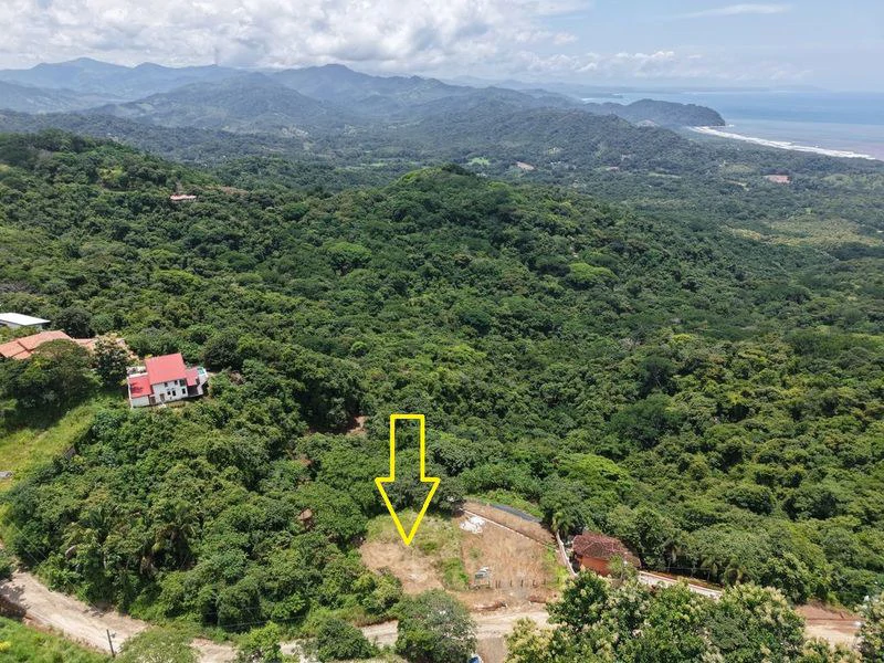 LOTE MIRAMAR: Stunning Ocean-View Parcel, Just Minutes from Carillo Beach - Gallery image 6