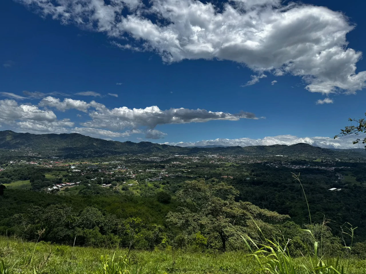 Historic Hilltop Sanctuary: ´Jurassic Park-like´ Development property! - Gallery image 17