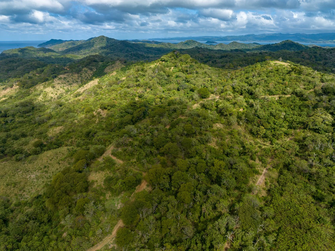 220 Acres Beachside Farm with Ocean View at Playa Junquillal in Guanacaste - Gallery image 31