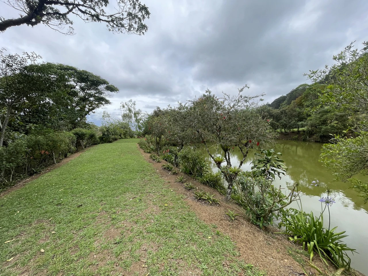 Cartago, gourmet coffee plantation: Charming Coffee Retreat Home with Stunning Views and Gourmet Coffee Plantations - Gallery image 30
