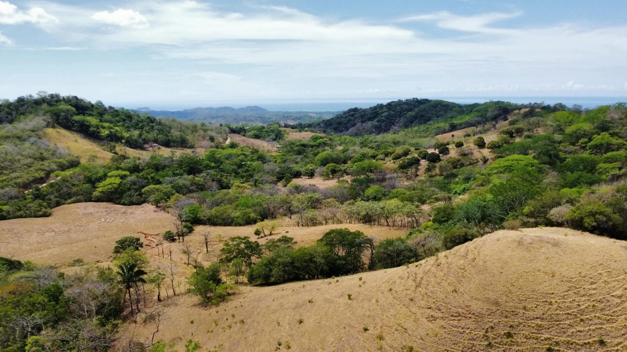 37-Hectare Ocean View Development Property Near Sámara, Buena Vista & Barrigona