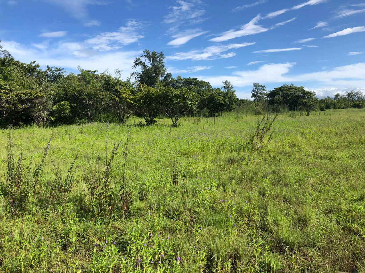 Great investment opportunity, property adjacent to Liberia Airport - Gallery image 5