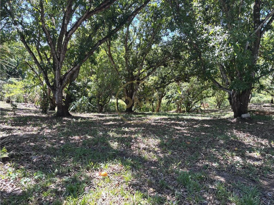 FOR SALE / Land in Coyolar, Orotina, Alajuela - photo 9
