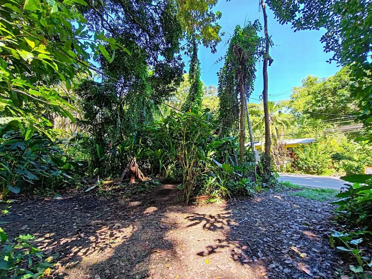 ID 958: Playa Chiquita Commercial Lot,  Prime Site near Beach - Gallery image 18