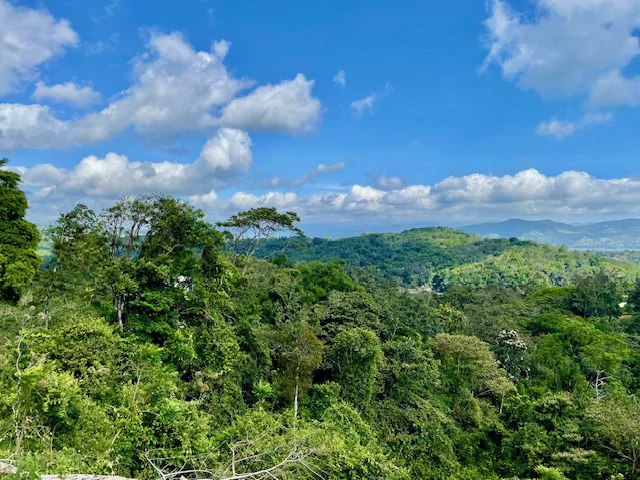 LG-002 Terreno Top Nuevo Arenal: Premium 1.45-Acre Gated Homesite in Nuevo Arenal | Panoramic Lake & Volcano Views, Private Boat Dock & Clubhouse - Gallery image 2