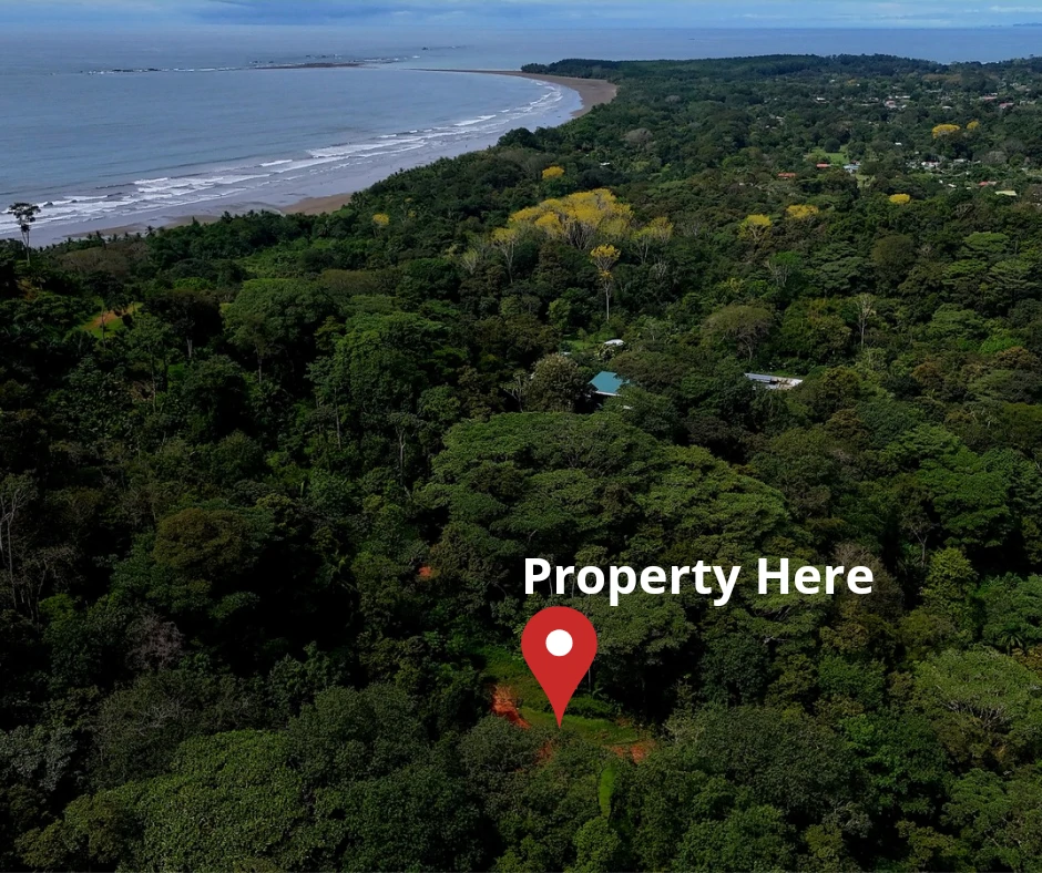 Tropical Paradise in Uvita: 939 sqm Property with Dual Building Sites, 5 Minutes from the Beach - Gallery image 15