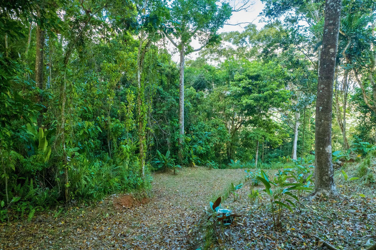 5.3 ACRES – Mountain And River View Land 20min To Dominical, Ready To Build, Legal Water, Electricity & Fiber Optics, Streams And Community Trails!!!! - Gallery image 11