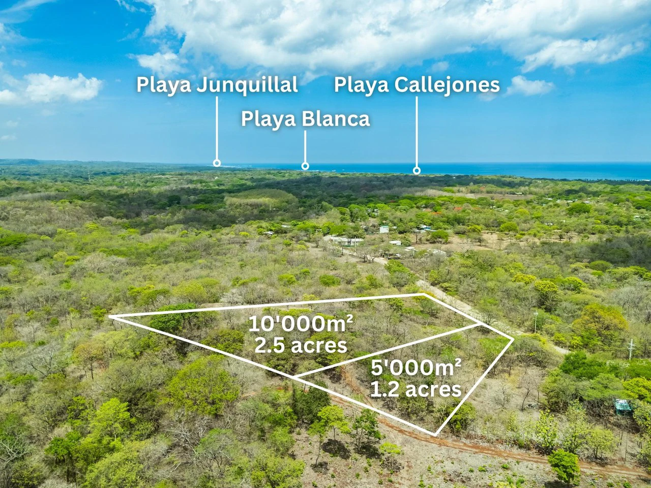Pura Jungla Lots: Expansive Lots with Water Availability in Los Pargos - Gallery image 20