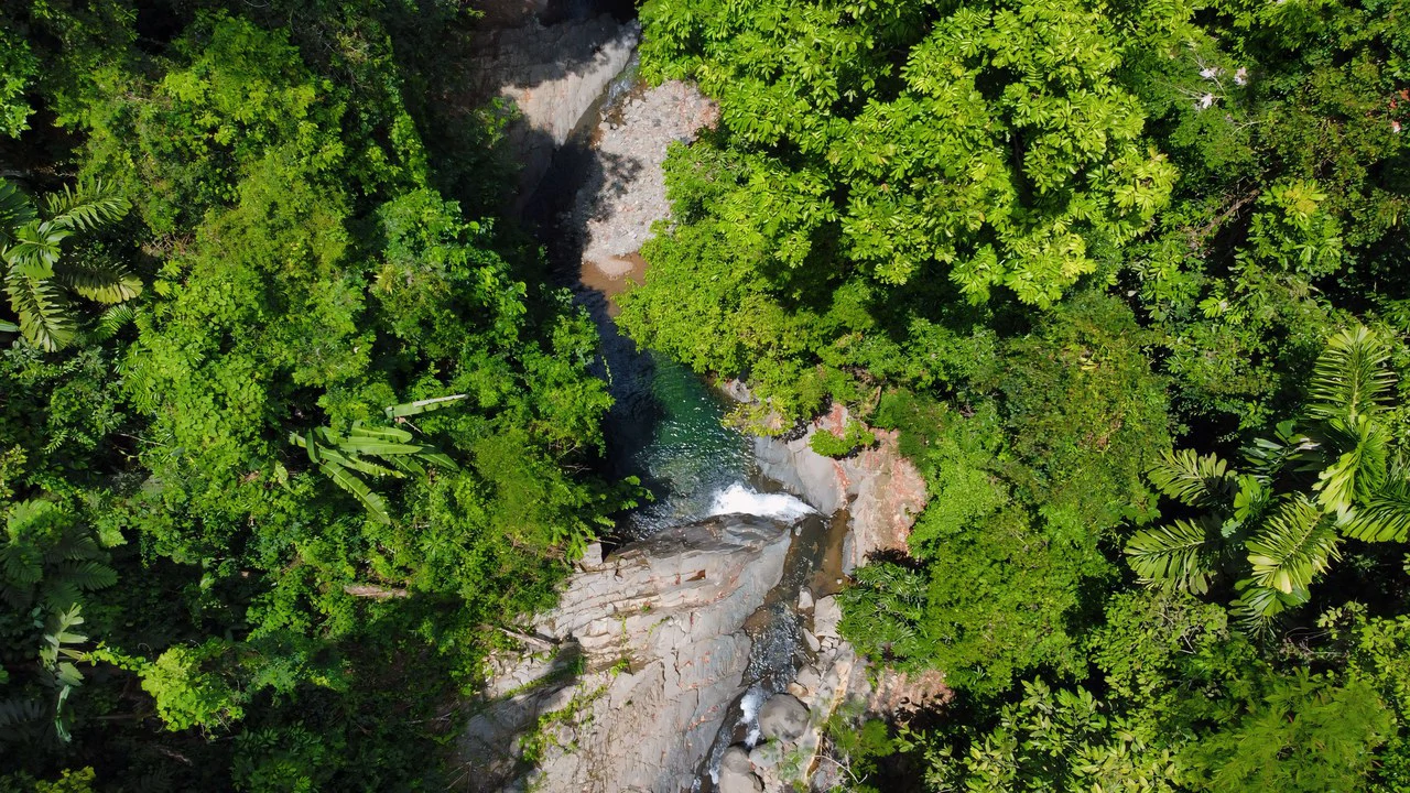FINCA CERRO DEL TIGRE! OVER 20 ACRES OF PRIMARY FOREST AND WATERFALLS.: Mountain Agricultural Land For Sale in La Unión - Gallery image 14