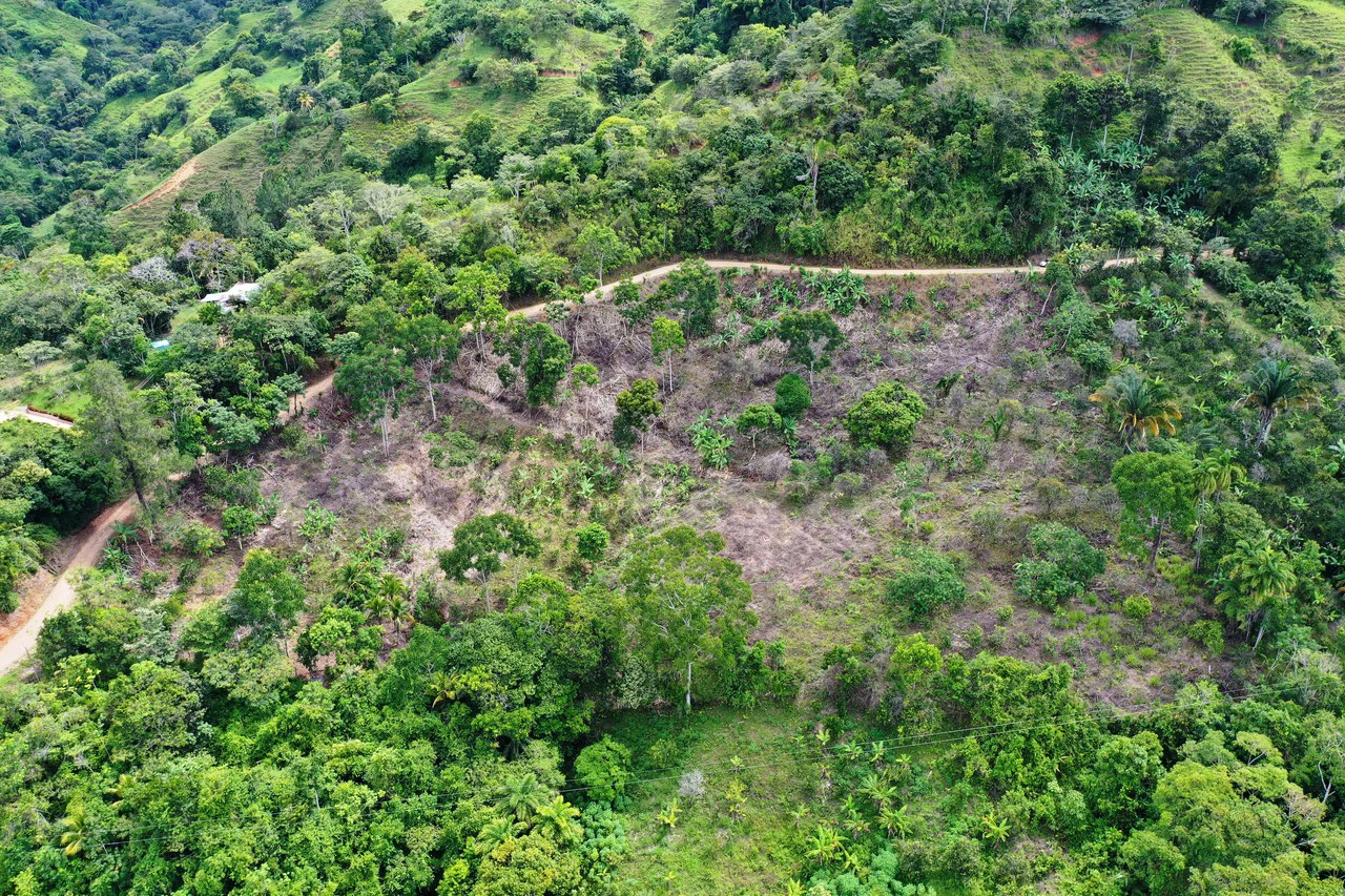 4.6 Acre Tropical Fruit Farm with Elevated Homesite & Valley Views San Isidro - photo 3