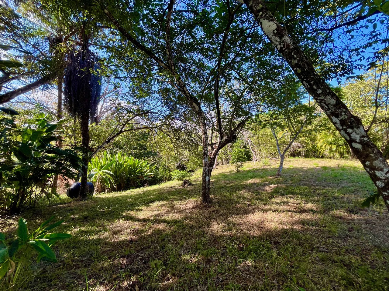 4000m2 Ready to Build Lot in Delicias: Partial Ocean Views in Great Neighorhood - Gallery image 9