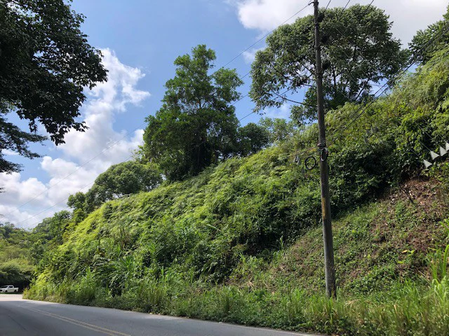 6.5 ACRES – Space To Grow, Build & Thrive, Close To The Beach & Commercial Potential Road Frontage!!!!!: Mountain and Countryside Development Parcel For Sale in Platanillo de Dominical - Gallery image 20