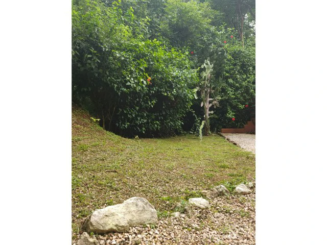 Nosara's Brand New Top Villas as a Business Opportunity in the dense forest of catchment area, 7 villas for sale in Costa Rica's Healthy Blue Zone - Gallery image 25