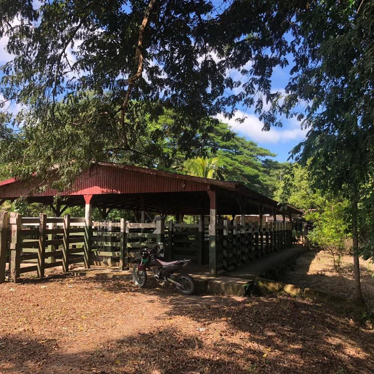 Teak Farm for Sale with a Hacienda Villa and 3 houses in La Cruz, 1 hour away from Liberia - Gallery image 14